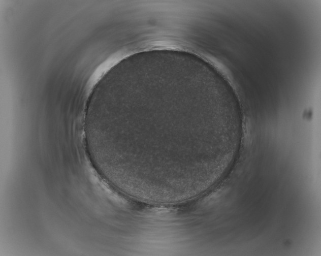 X0000113931373200910231912