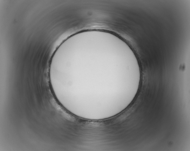 X0000113931374200910231912