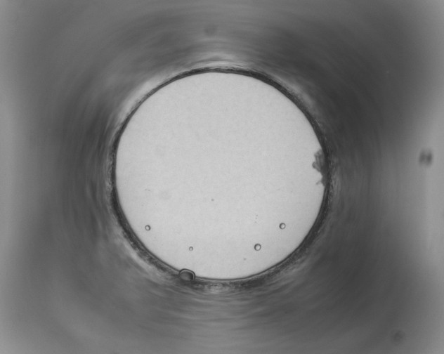 X0000113931375200910231912