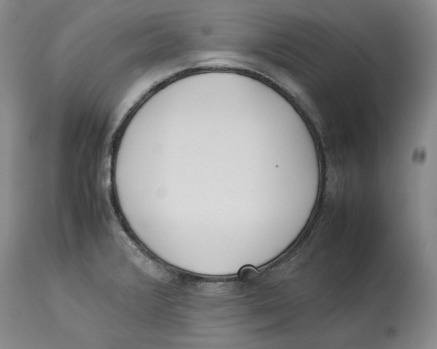 X0000113931376200910231912