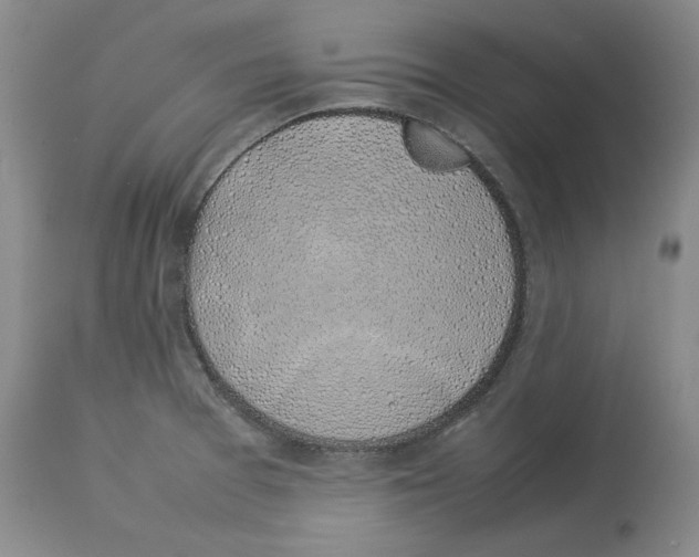 X0000113931377200910231912