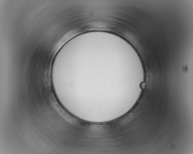 X0000113931378200910231912