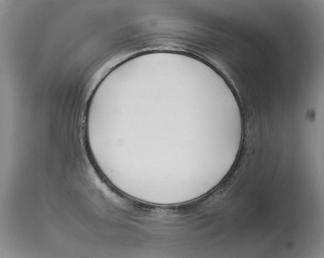 X0000113931379200910231911
