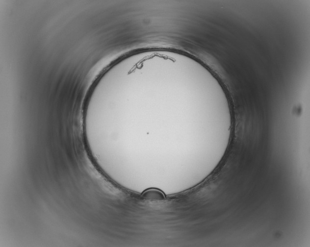X0000113931380200910231911
