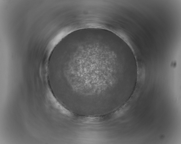 X0000113931381200910231911