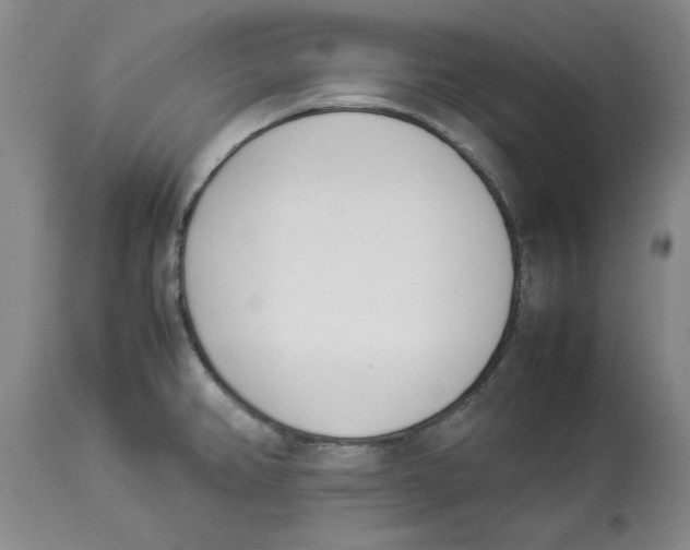X0000113931382200910231911