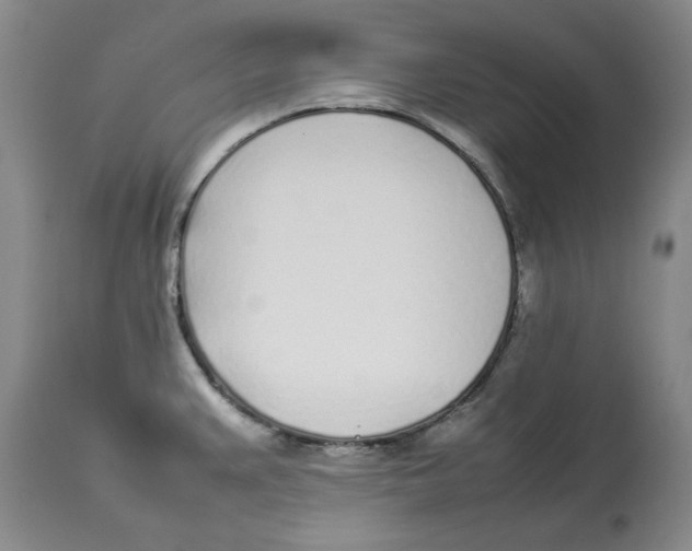 X0000113931383200910231911