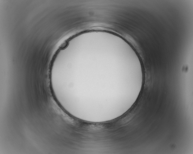 X0000113931384200910231911