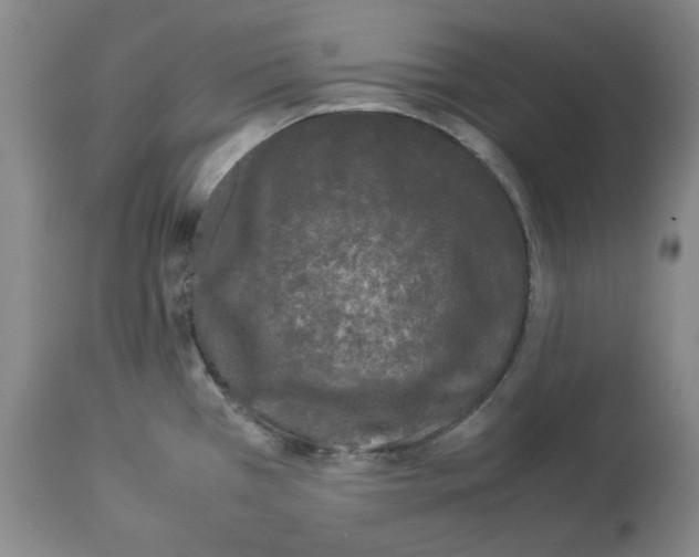 X0000113931385200910231911
