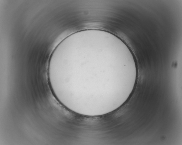 X0000113931386200910231911