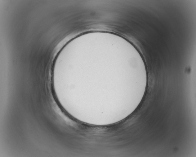 X0000113931387200910231911