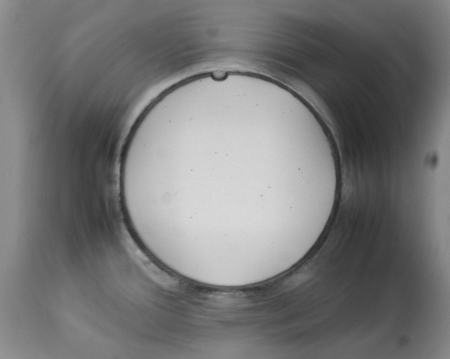 X0000113931388200910231911