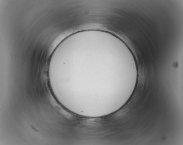 X0000113931390200910231911