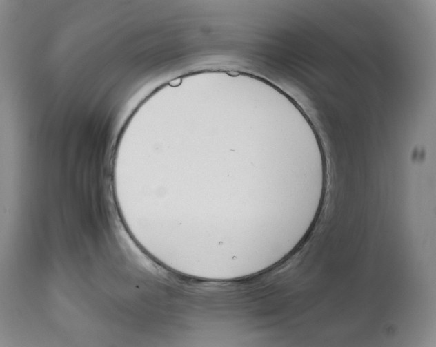 X0000113931392200910231911