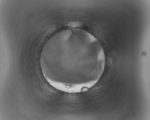 X0000113931393200910231910