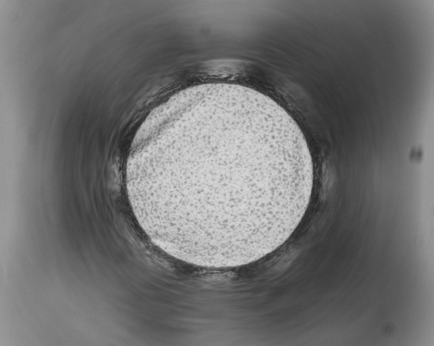 X0000113931394200910231910