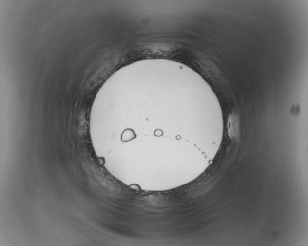 X0000113931395200910231911