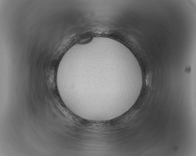 X0000113931396200910231911