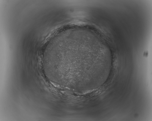 X0000113931397200910231911