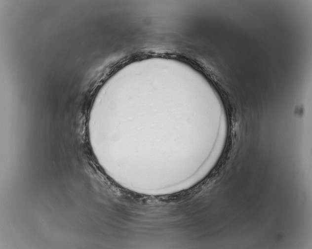 X0000113931398200910231911