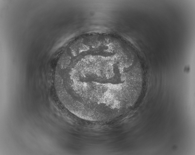 X0000113931399200910231911