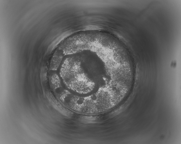 X0000113931401200910231911