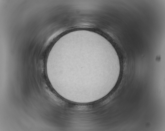 X0000113931402200910231911