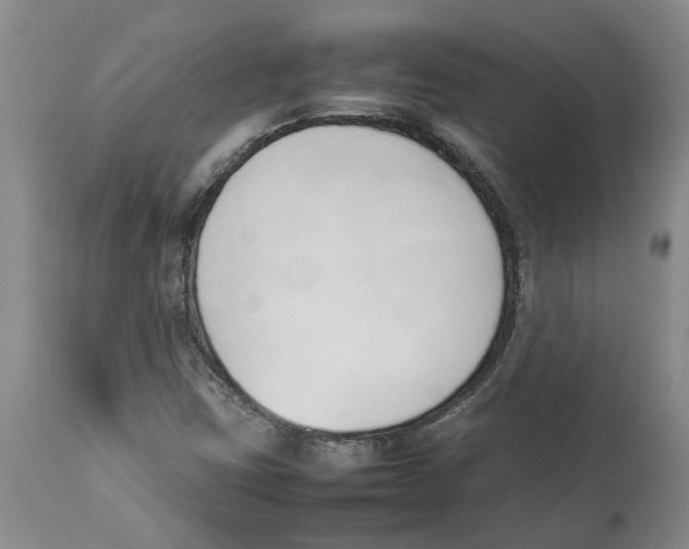 X0000113931403200910231911