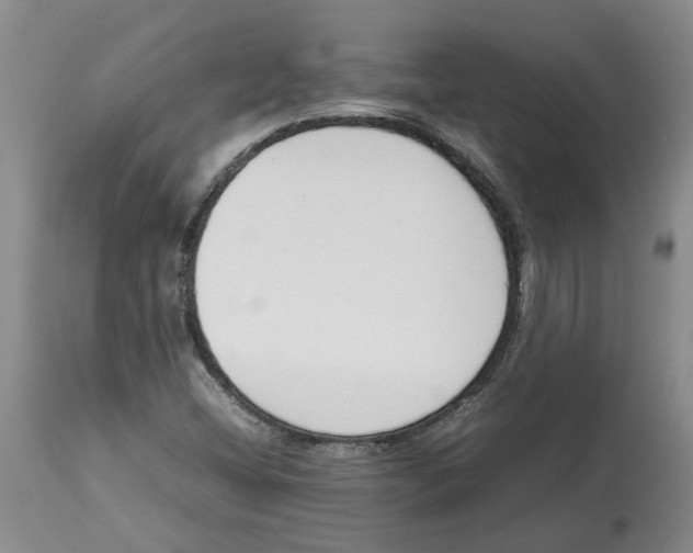 X0000113931404200910231911