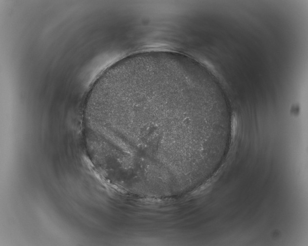 X0000113931405200910231911