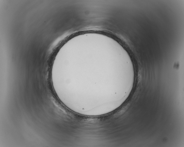 X0000113931406200910231911