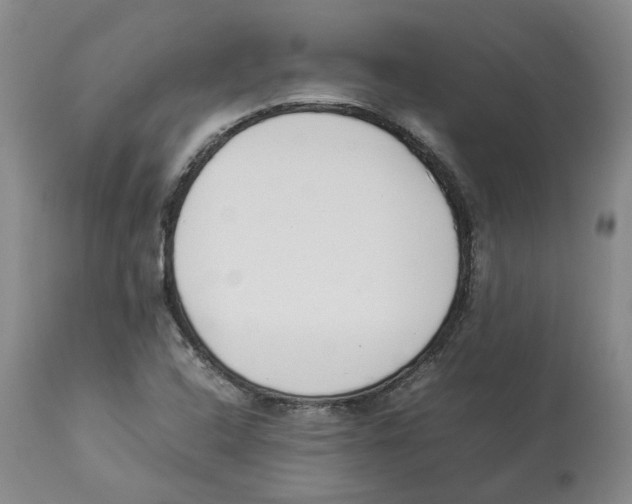 X0000113931408200910231911