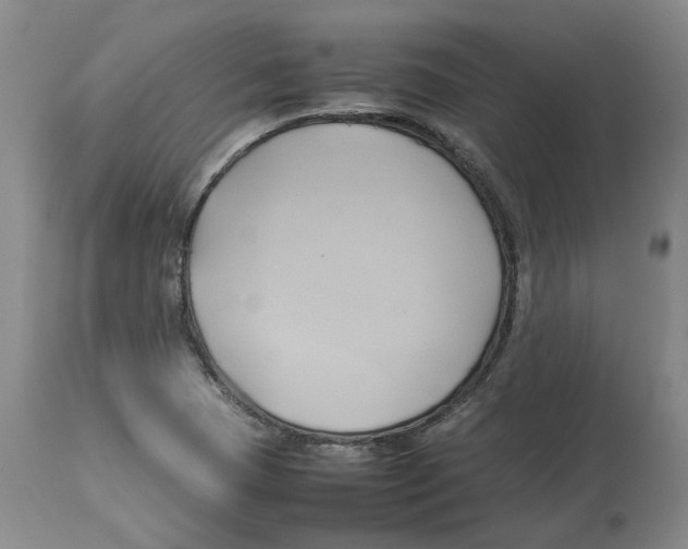 X0000113931409200910231911