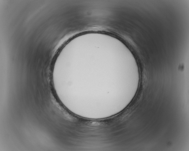 X0000113931412200910231911