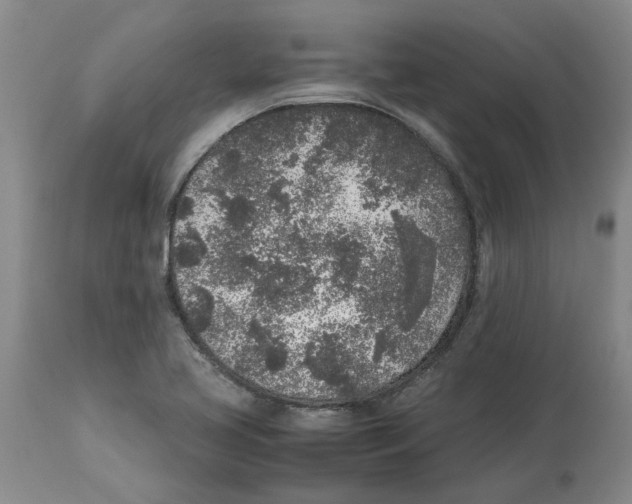 X0000113931413200910231911