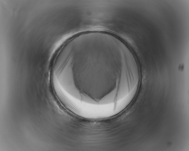 X0000113931414200910231911