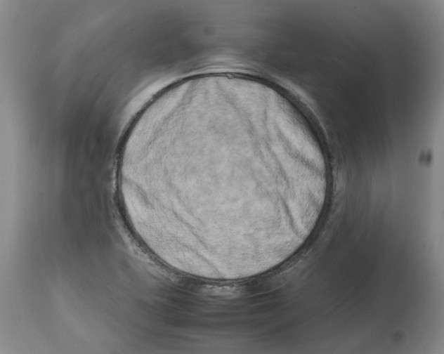 X0000113931415200910231911