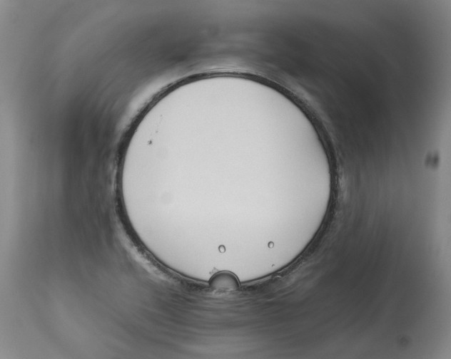 X0000113931416200910231911