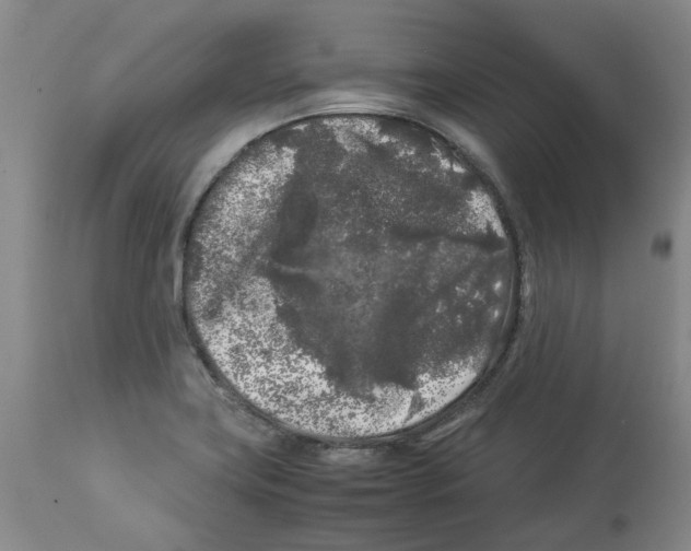 X0000113931419200910231911
