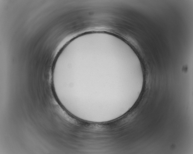 X0000113931420200910231911