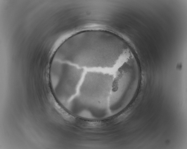 X0000113931421200910231911