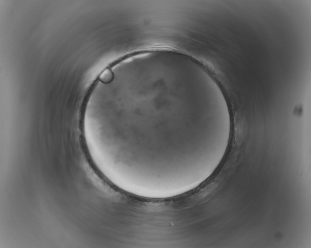 X0000113931422200910231911