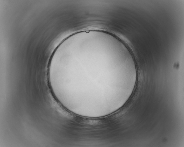 X0000113931423200910231911