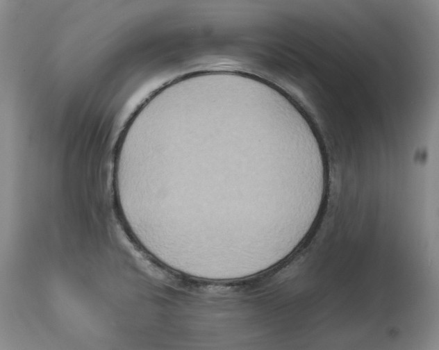 X0000113931424200910231911