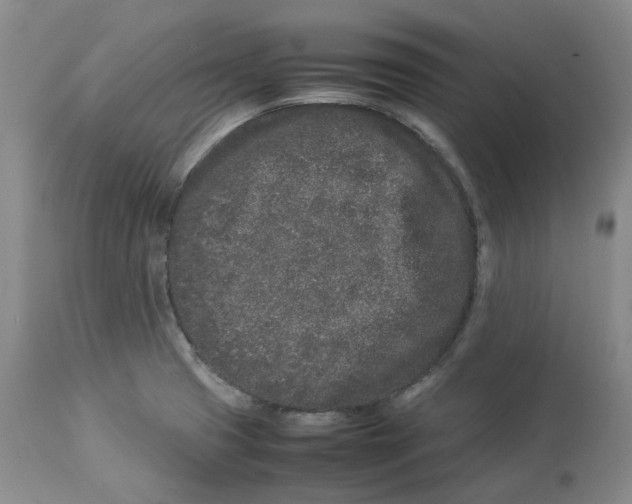 X0000113931425200910231911