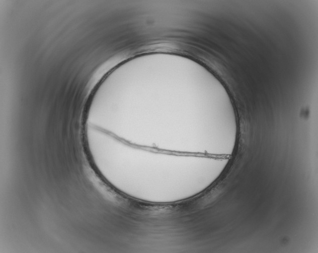X0000113931426200910231911