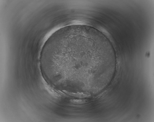 X0000113931427200910231911