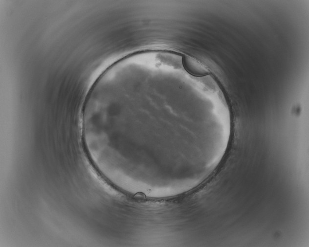 X0000113931428200910231911