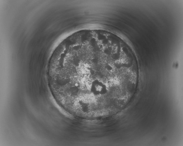X0000113931429200910231911