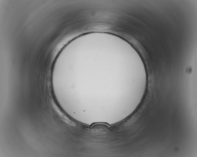 X0000113931432200910231911